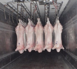  Экспорт мяса, птицы и других товаров с оформлением необходимых ветеринарных разрешений.